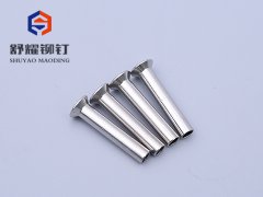 沉头中空不锈钢铆钉