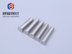 平头不锈钢铆钉