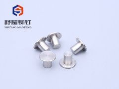 平头实心不锈钢铆钉