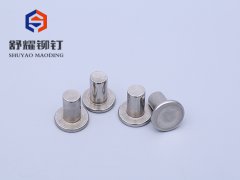 平头实心不锈钢铆钉2