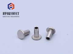 平头中空不锈钢铆钉