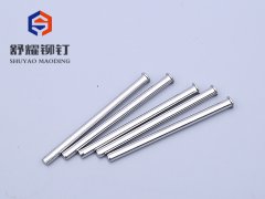 圆头实心不锈钢铆钉