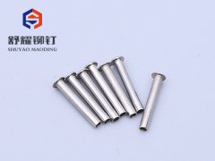圆头中空不锈钢铆钉 (2)