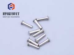 圆头中空不锈钢铆钉 (4)