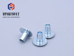 圆头半空铁铆钉 (2)