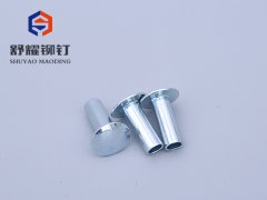 圆头半空铁铆钉 (4)