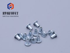 圆头半空铁铆钉 (6)