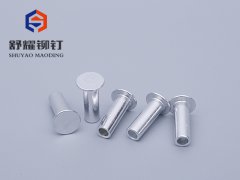 大平头中空铝合金铆钉