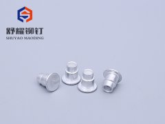 平头半空台阶铆钉