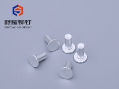 平头实心铝铆钉 (2)