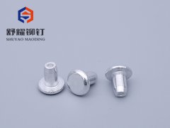 平头束尾中空铝铆钉