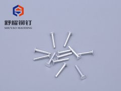 平头中空铝铆钉 (2)