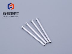 平头中空铝铆钉 (3)