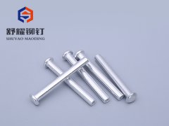平圆头中空铝合金铆钉 (2)