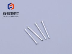 圆头半空铝铆钉 (2)