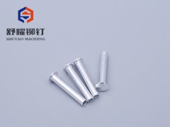 圆头中空铝铆钉 (2)
