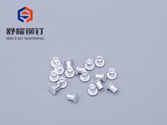 圆头中空铝铆钉 (3)