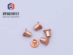 平头中空紫铜铆钉 (2)
