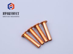 平头中空紫铜铆钉
