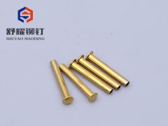 圆头半空黄铜铆钉 (2)
