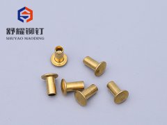 圆头半空铜铆钉 (2)