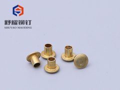 圆头半空铜铆钉 (3)