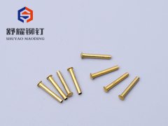 圆头中空黄铜铆钉 (2)