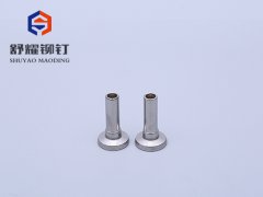 大平头不锈钢台阶铆钉