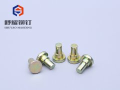 平头实心台阶铆钉 (2)