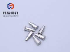 平圆头台阶不锈钢铆钉
