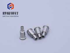 铁镀镍台阶铆钉