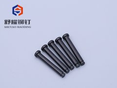 平头实心车槽铆钉