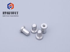 平头束尾铆钉