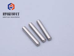 不锈钢插销