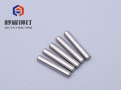 双头倒角不锈钢光销