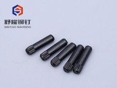 直纹铁黑锌销子