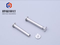 平头一字公母铆钉