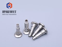 沉头半空不锈钢台阶铆钉