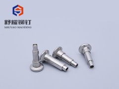 沉头中空不锈钢台阶铆钉