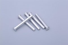 平圆头中空铝合金铆钉 (2)